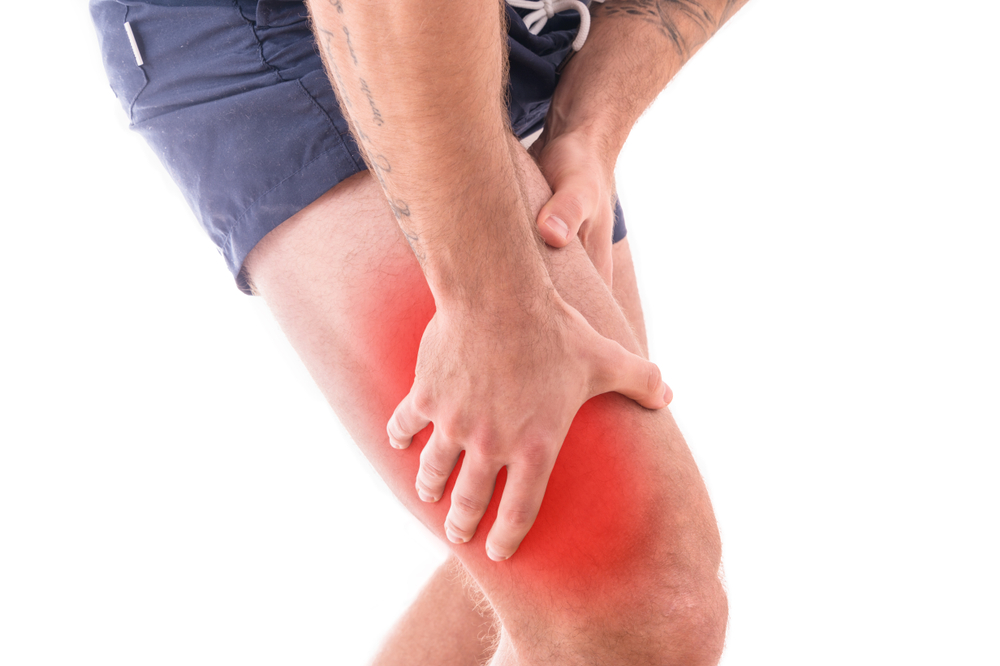 An image showing where sports injuries such as a muscle strain can appear. This one highlights the muscle in the upper leg.