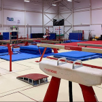 Gymnastics: A quick look at the history of the sport