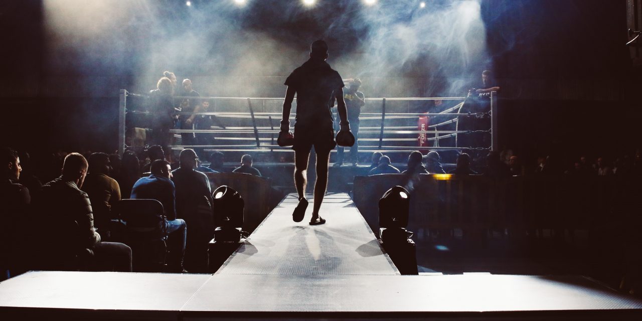 What makes a better boxer? Strength or agility?