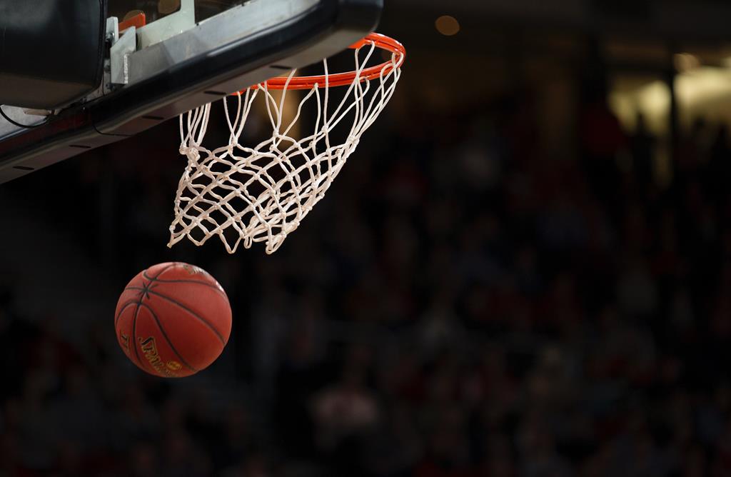 Basketball shot through the hoop and moving the net