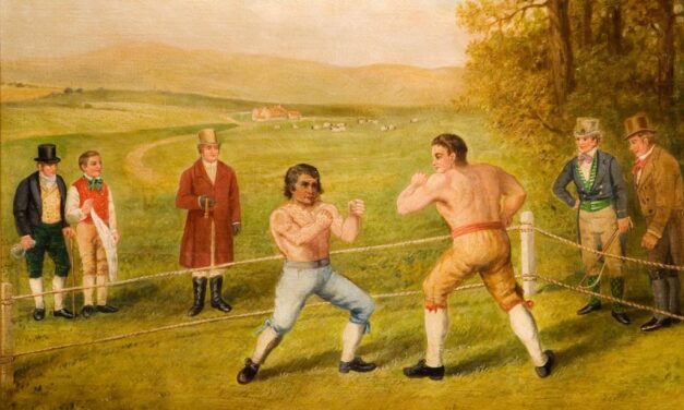 Which combat sports are most suitable for older adults in 2023?